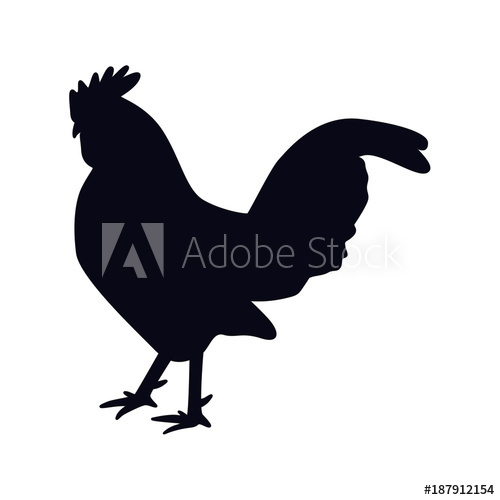 500x500 Rooster Icon