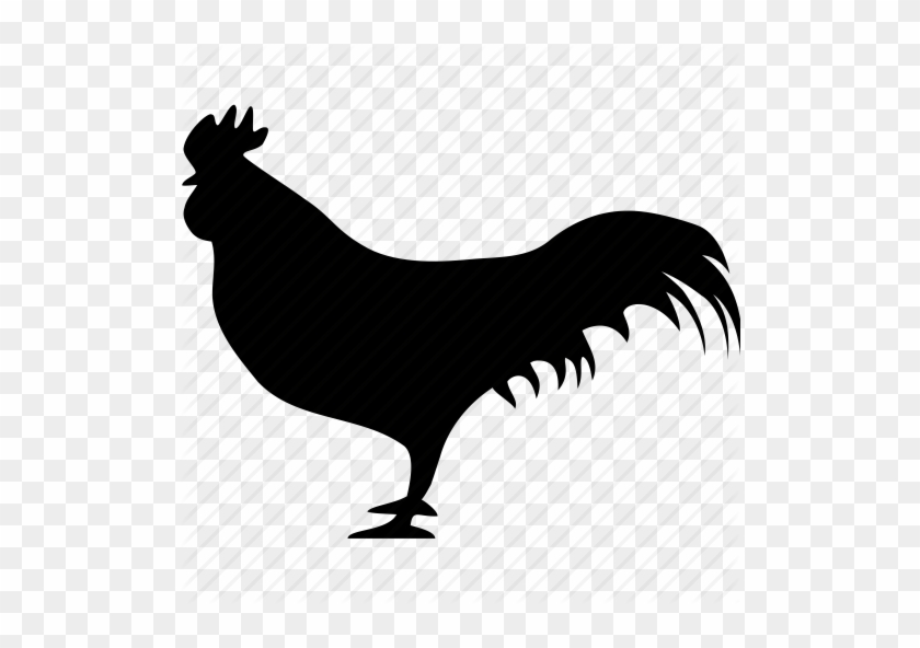 840x592 Rooster Icon