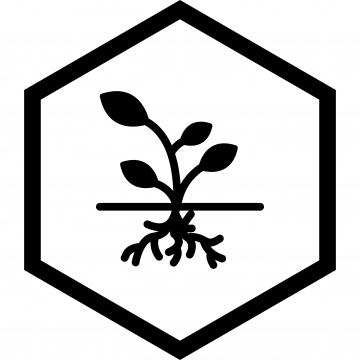 360x360 Root Icon Png Images Vector And Free Download