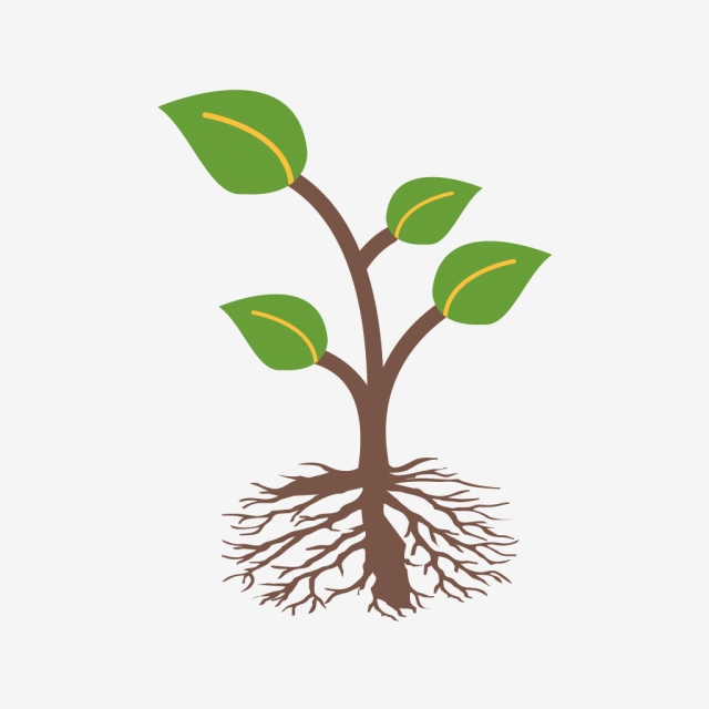 640x640 Root Icon Png, Vector, And Clipart With Transparent