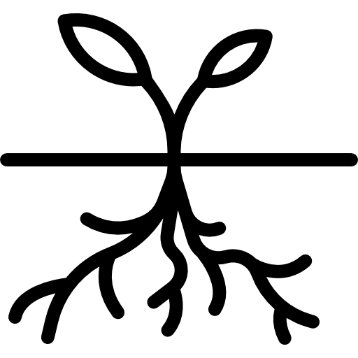 512x512 Sprout Icons Free Download