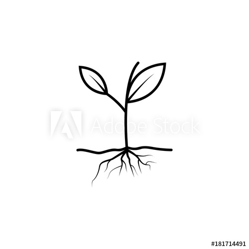 500x500 Sprout With Roots Icon