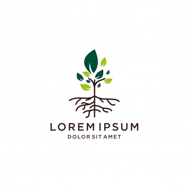 626x626 Tree And Root Vector Logo Line Icon Vector Premium Download