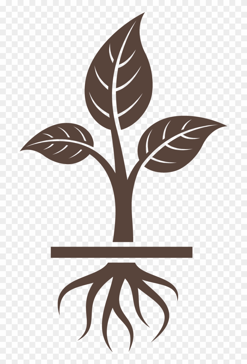 840x1235 Get To The Root