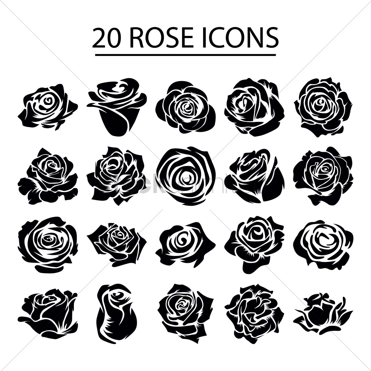 1300x1300 Set Of Rose Icons Vector Image