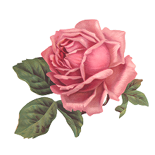 220x220 Rose Icons Tumblr