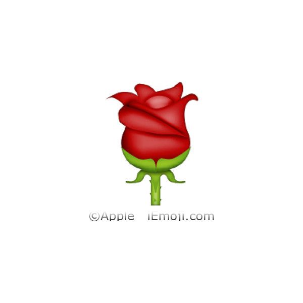 600x600 Red Rose Liked On Polyvore Featuring Emojis, Fillers, Extra