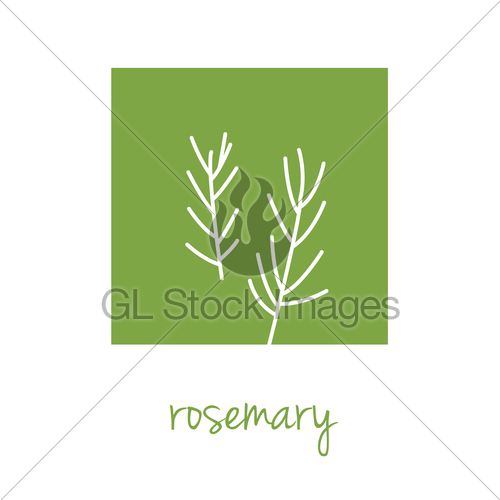 500x500 Rosemary Icon On Green Square Gl Stock Images