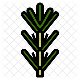 256x256 Rosemary Icon Of Colored Outline Style