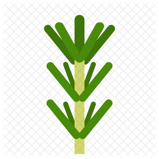 512x512 Rosemary Icon Of Flat Style