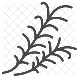 256x256 Rosemary Icon Of Line Style