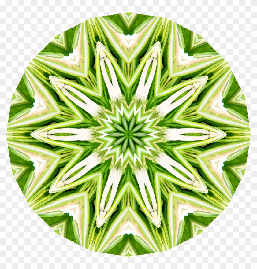 840x880 Rosemary Kaleidoscope