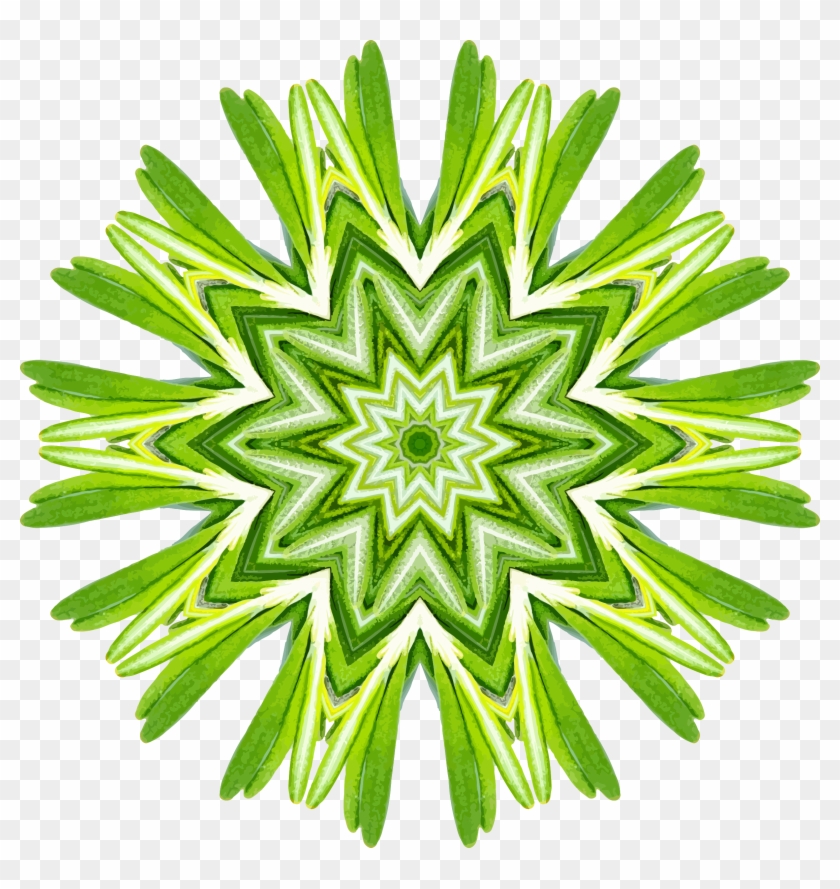 840x889 Rosemary Kaleidoscope