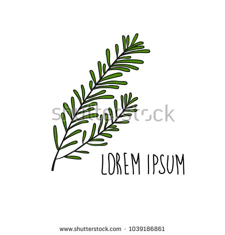 450x470 Cute Modern Hand Drawn Cartoon Doodle Rosemary Icon Isolated