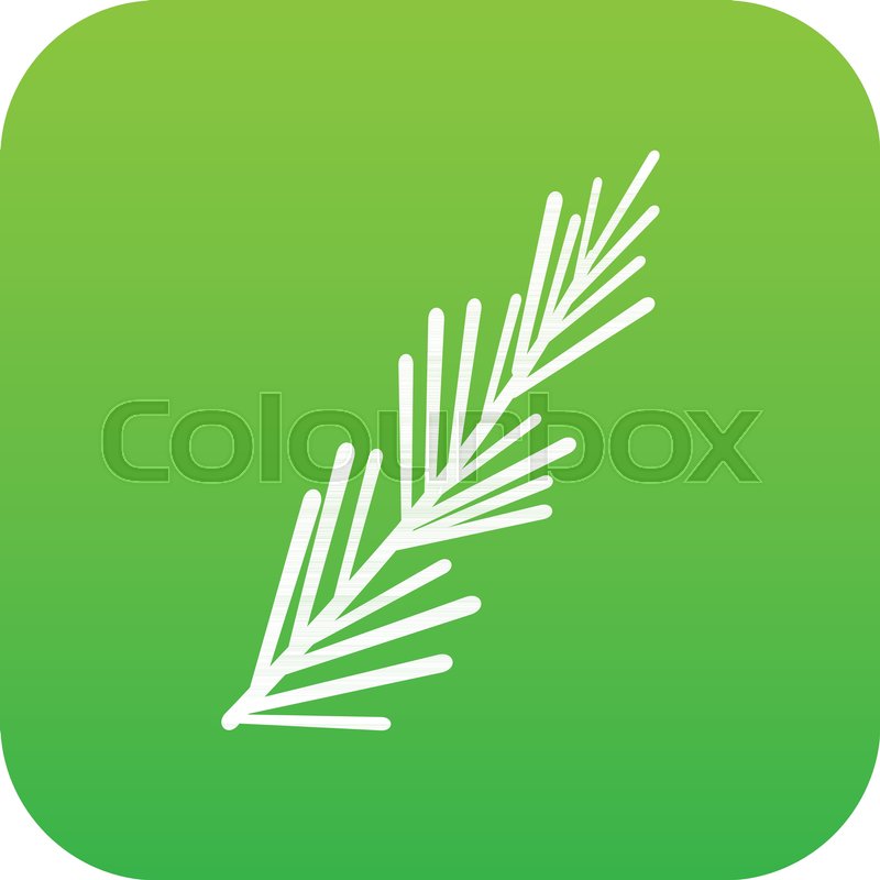 800x800 Rosemary Spice Icon Digital Green For Stock Vector Colourbox