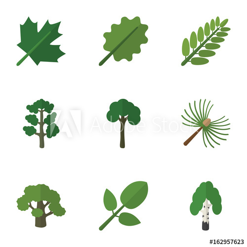 500x500 Flat Icon Ecology Set Of Timber, Leaves, Rosemary And Other Vector