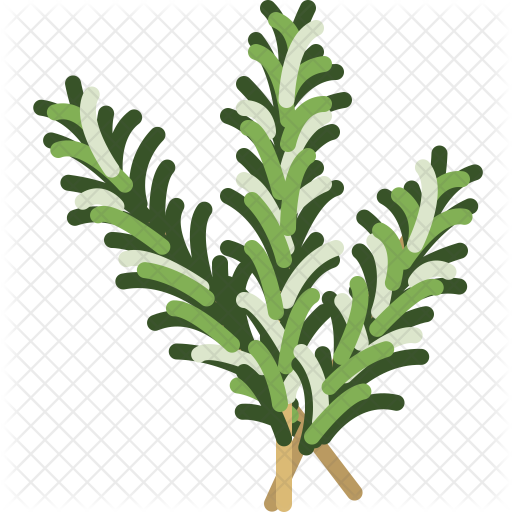 512x512 Herbs Icon Of Colored Outline Style