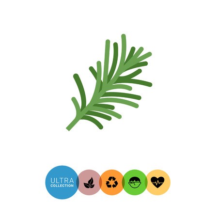 450x450 Multicolored Vector Icon Of Fresh Green Rosemary Royalty Free