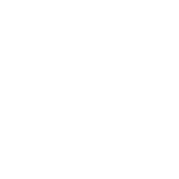 256x256 Free White Running Icon
