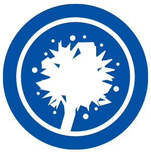 300x301 Dirt And Rust Icon Ecopure