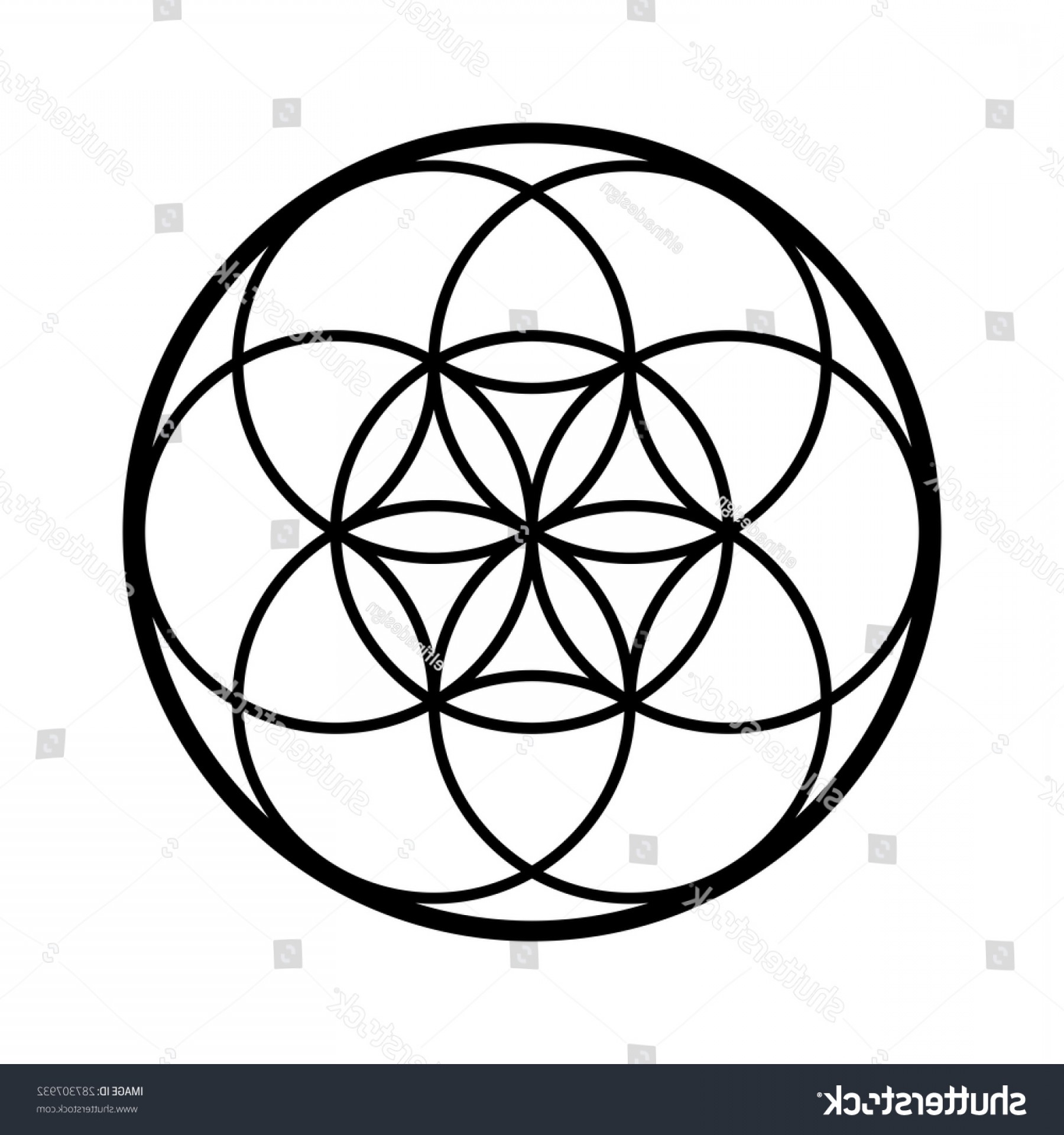 1800x1920 Seed Life Vector Sacred Geometry Symbol Cultracing