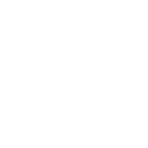 500x500 Saddle Icon