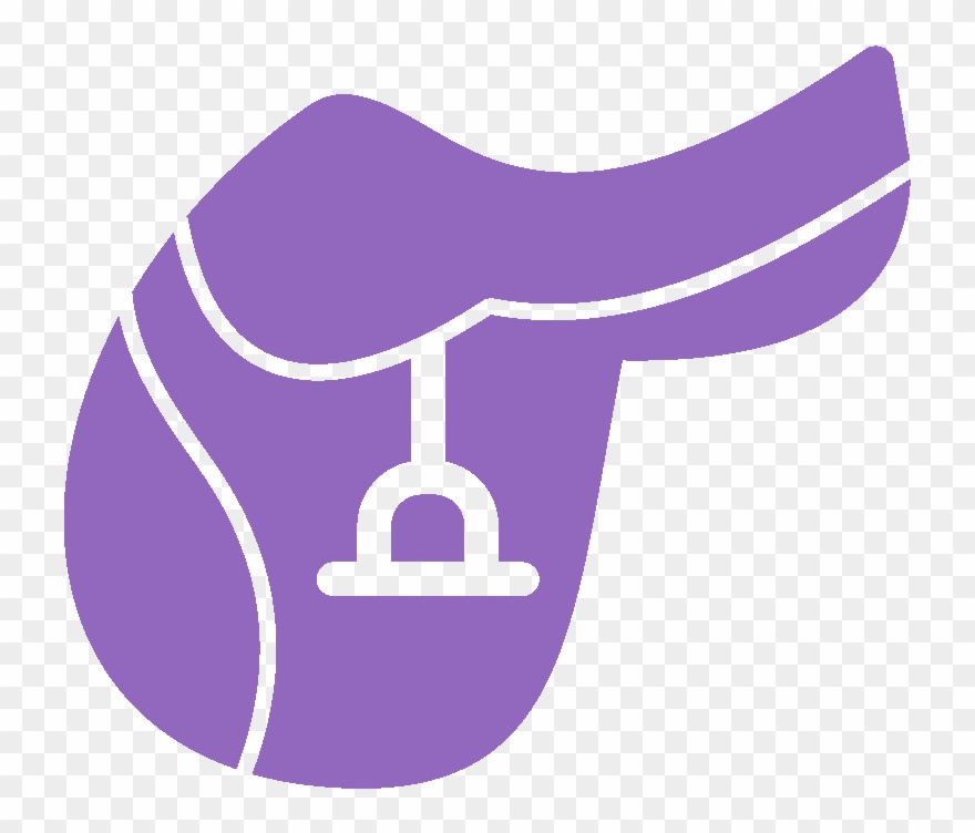 880x752 Dressage Training