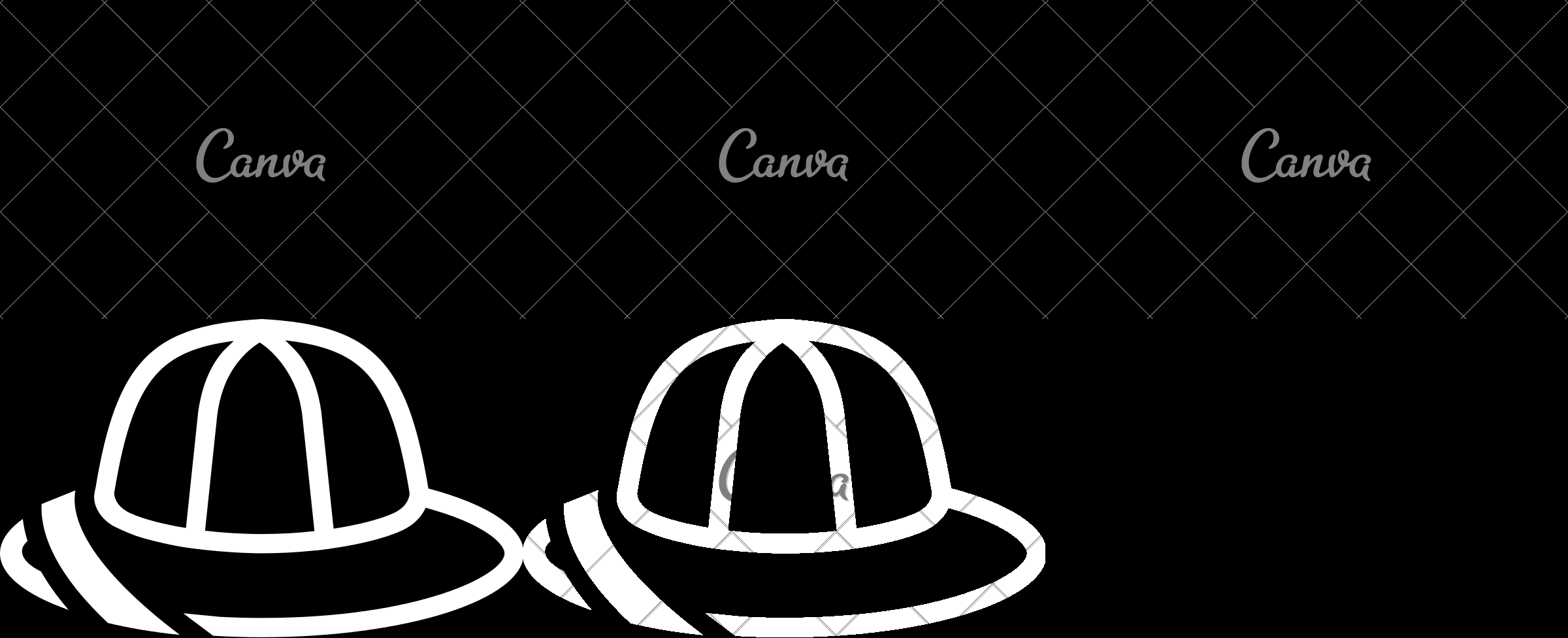 2400x976 Safari Hat Icon