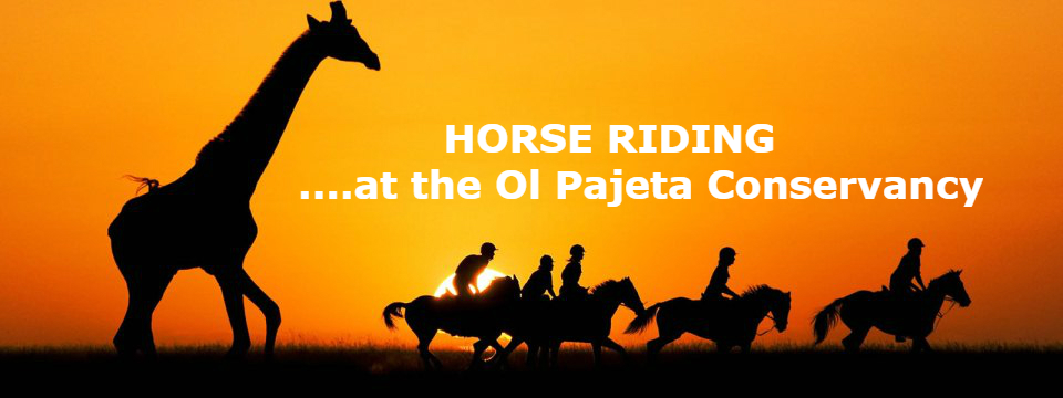 960x360 Safari Icon Travel Heart Of Africa