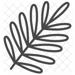 256x256 Sage Icon Of Line Style