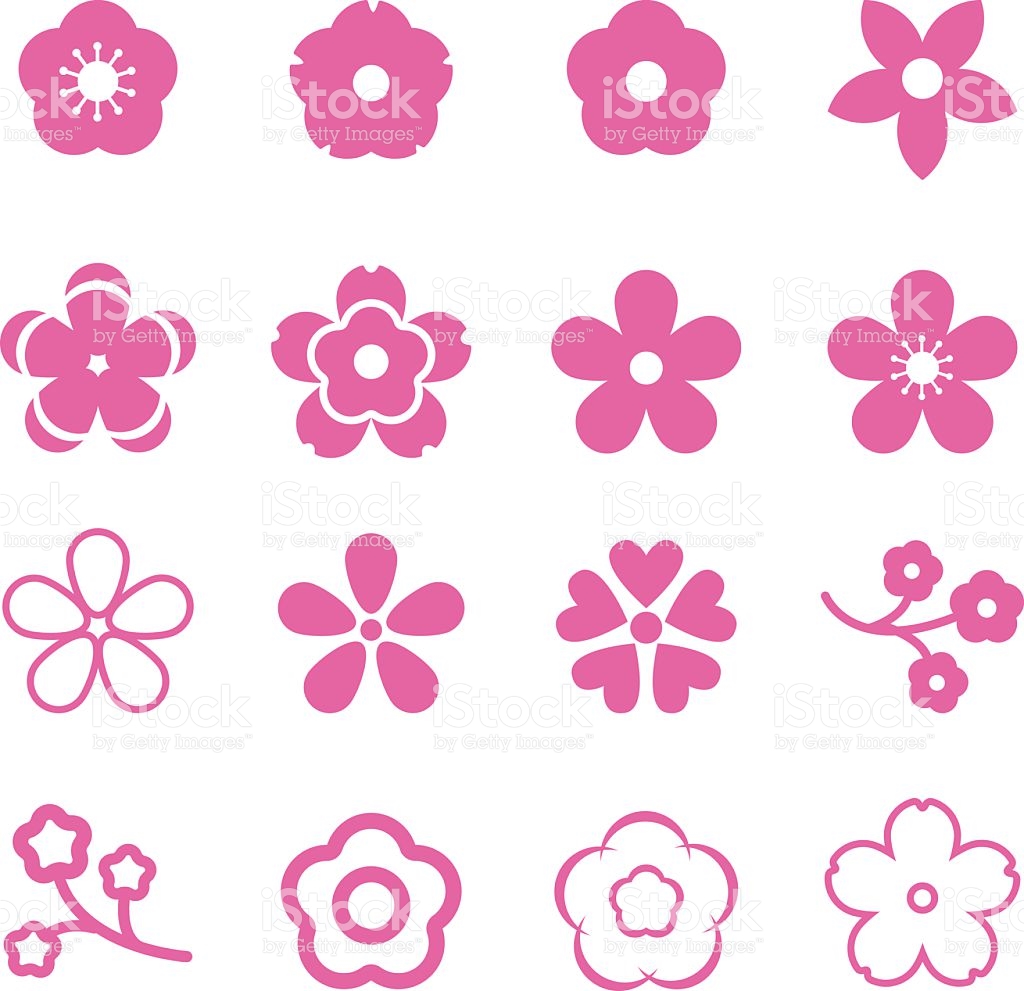 1024x991 Sakura Icon