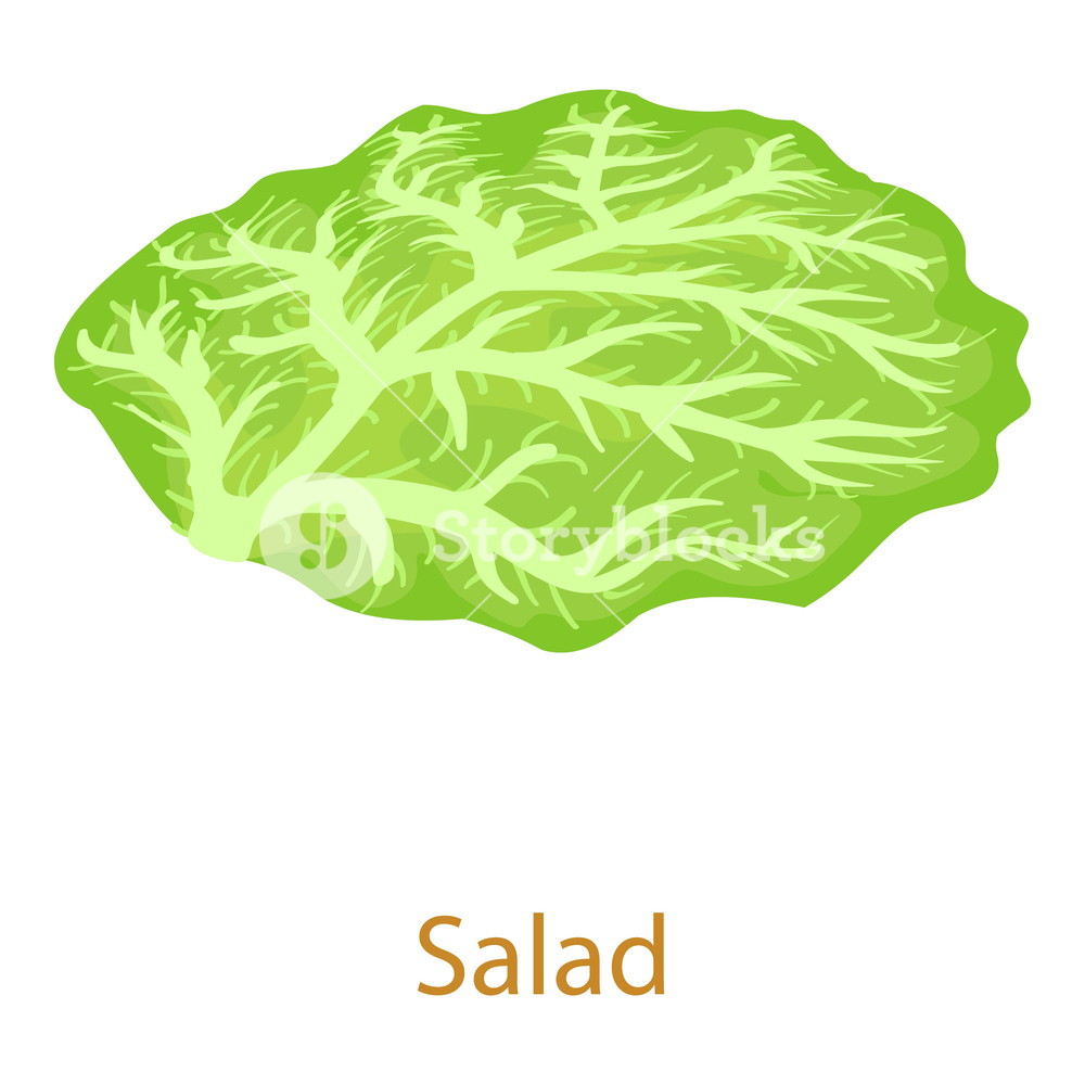 Salad Icon Isometric Illustration Of Salad Icon For Web Royalty 1000x1000 Salad Icon Isometric Illustration Of Salad Icon For Web Royalty
