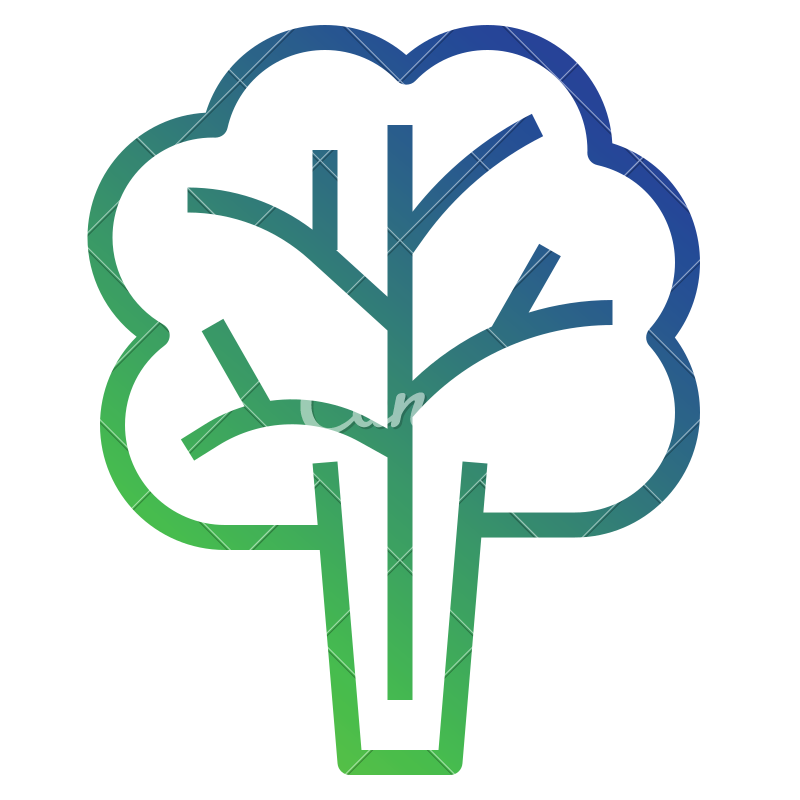 Lettuce Leaf Top Salad Icon 800x800 Lettuce Leaf Top Salad Icon