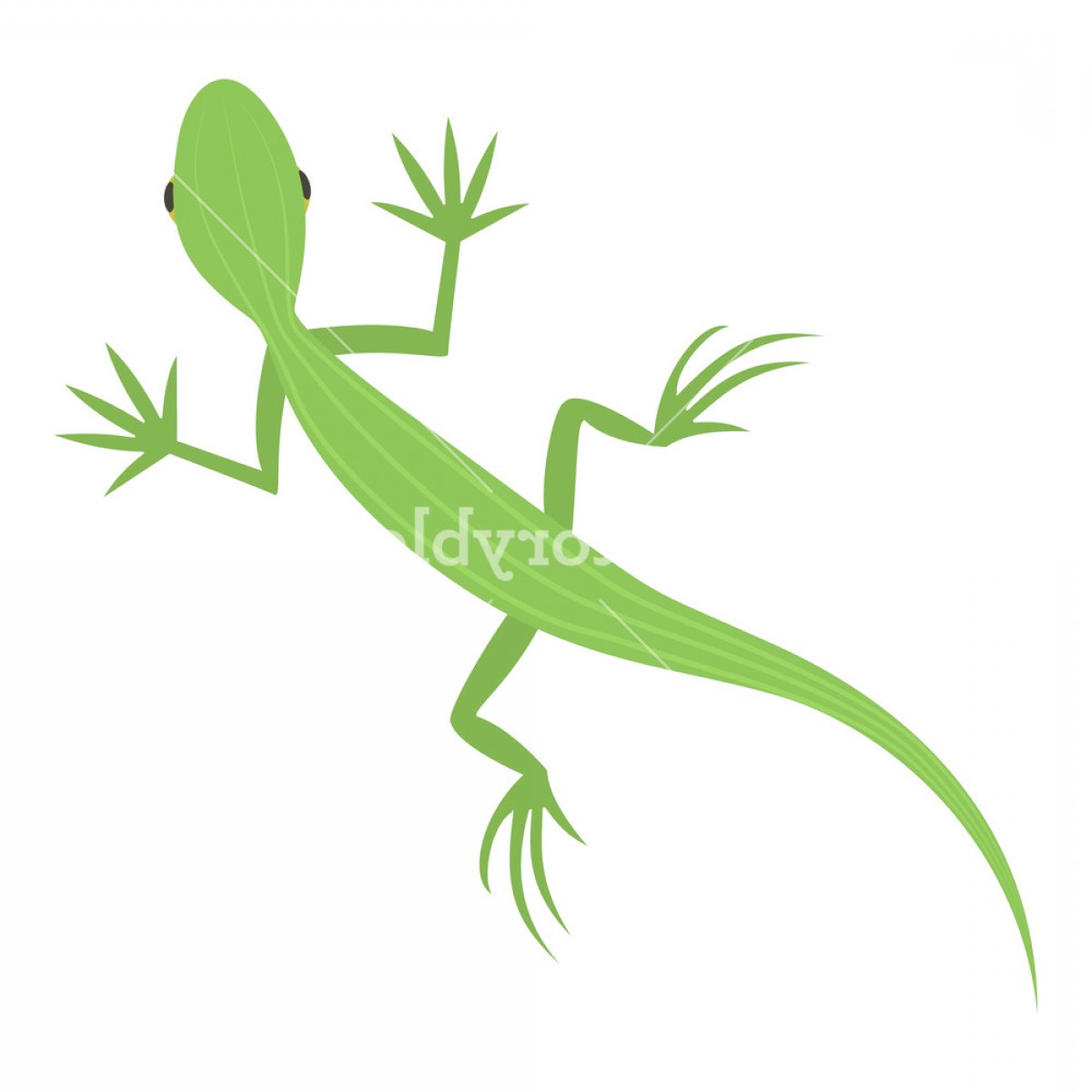 1200x1200 Salamander Icon Cartoon Illustration Of Salamander Vector Icon