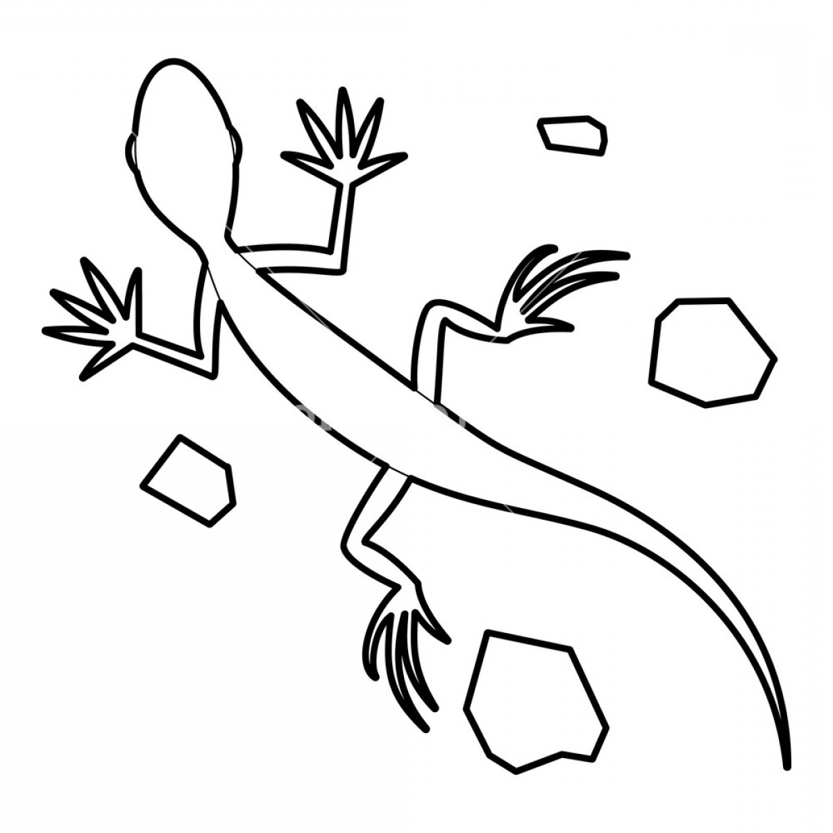 1200x1200 Salamander Icon Outline Illustration Of Salamander Vector Icon