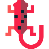 170x170 Salamander Png Icon
