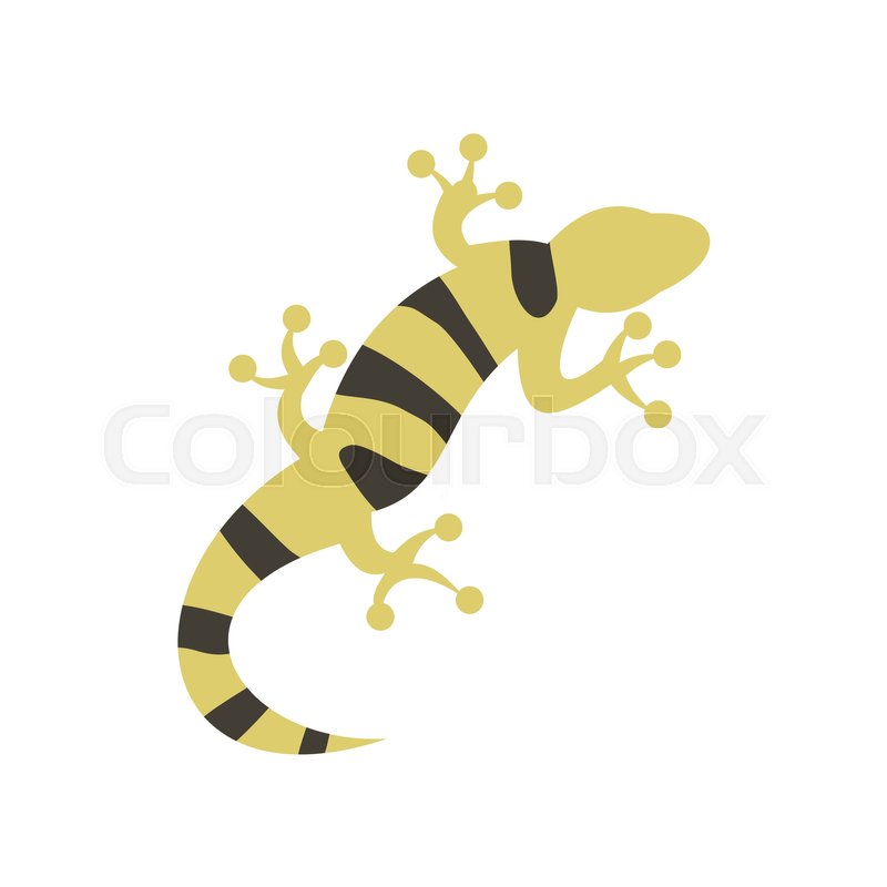 800x800 Salamander Icon In Flat Style On A Stock Vector Colourbox