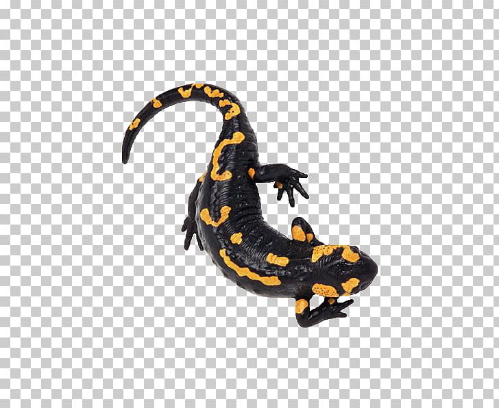 728x596 Fire Salamander Icon Png, Clipart, Animals, Axolotl, Black