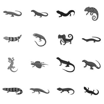 350x350 You Searched For Salamander Icon In Flat Style On A White