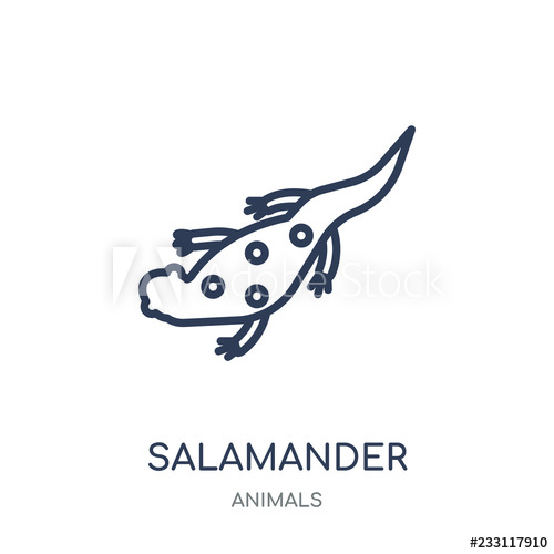 500x500 Salamander Icon Salamander Linear Symbol Design From Animals
