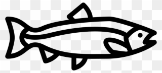 320x145 Big Salmon Comments