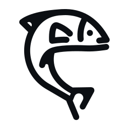 256x256 Salmon Icons