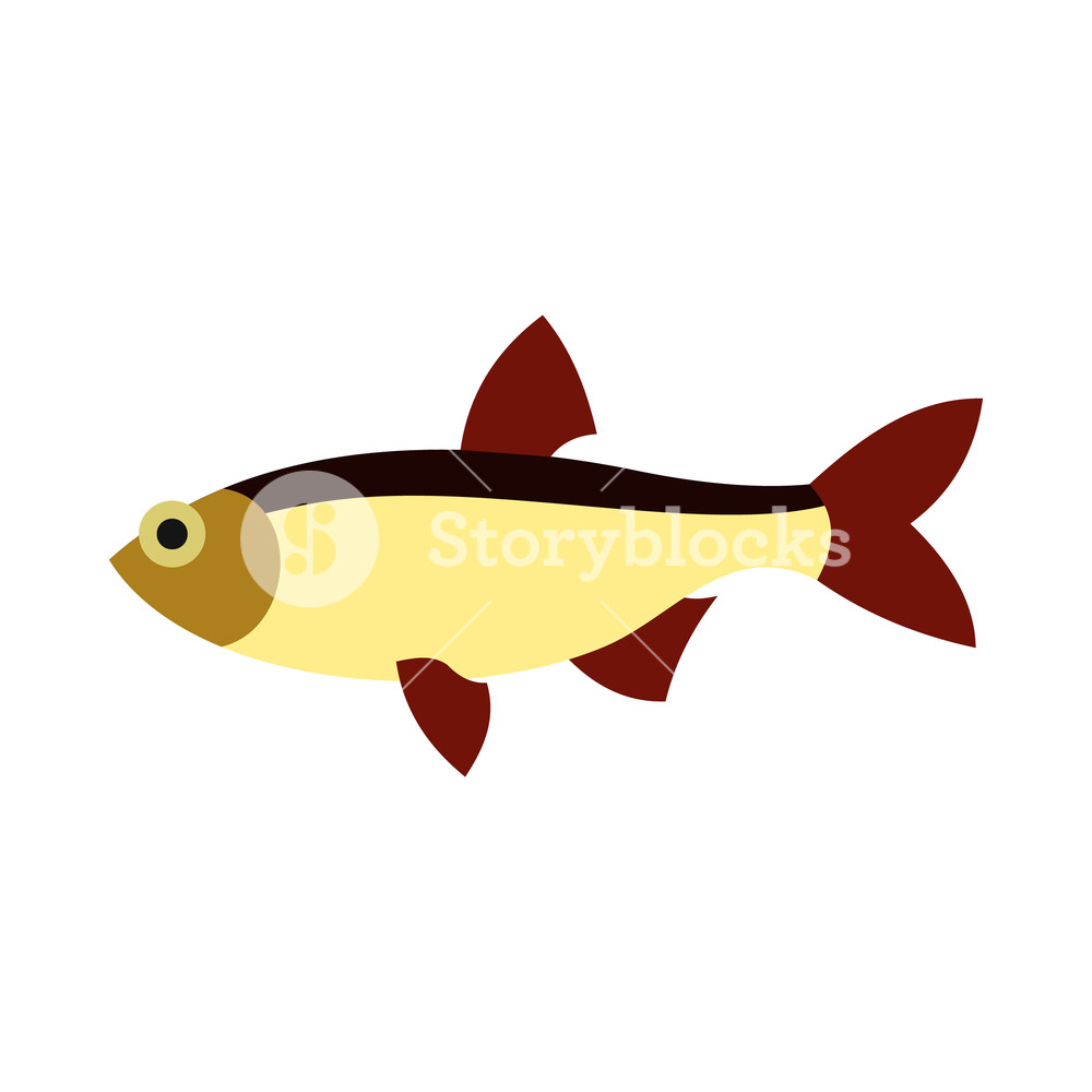 1000x1000 Salmon Icon In Flat Style Isolated On White Background Sea