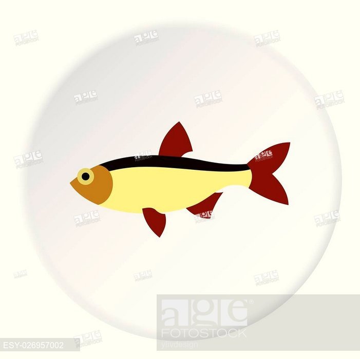 701x700 Salmon Icon Flat Illustration Of Salmon Vector Icon For Web
