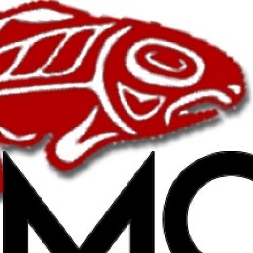 512x512 Cropped Salmon Icon Red Salmon Arts