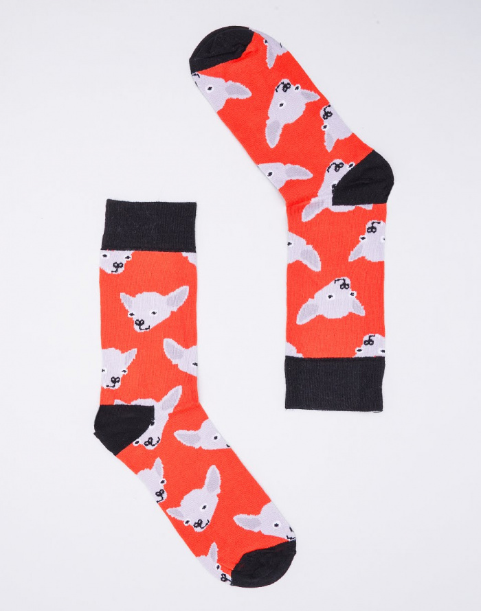 Socks 700x890 Socks