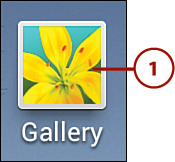 175x162 Viewing Photos In The Gallery