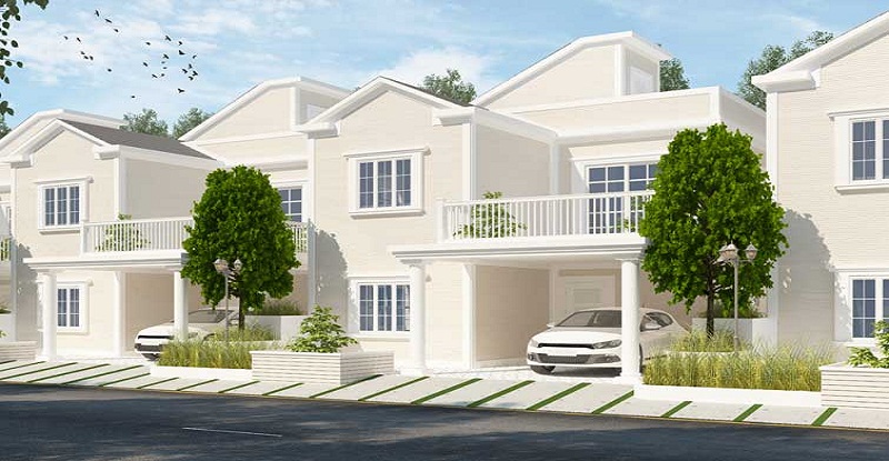 800x415 Icon Sanctuary