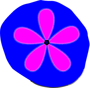300x294 Sand Dollar Png, Clip Art For Web