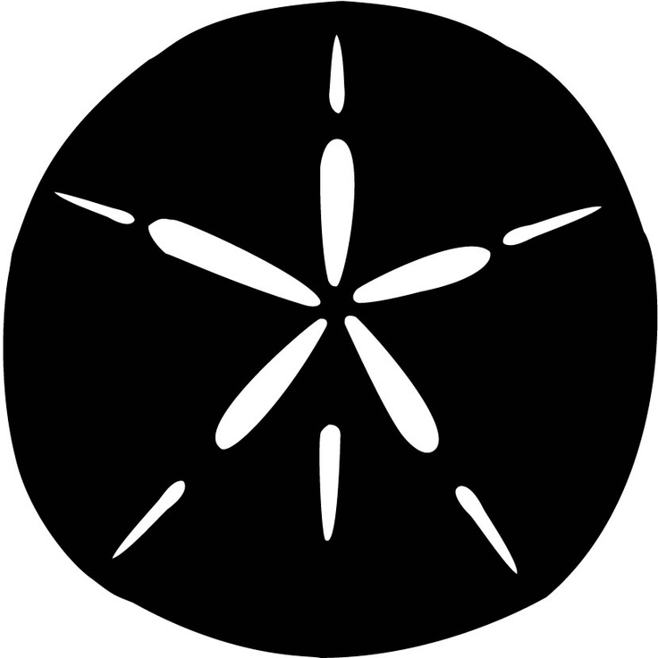 736x736 Sand Dollar Clip Art The Cliparts